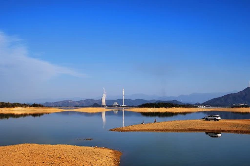 한국 도박 롤러 게임 모바일 버전